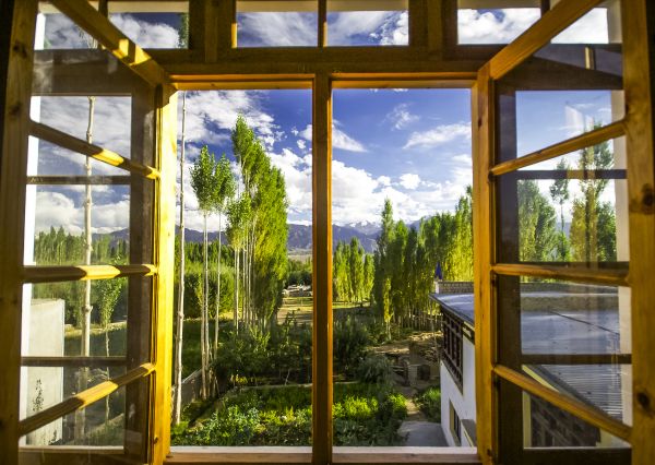 Wood Window Replacement in Canyon Lake